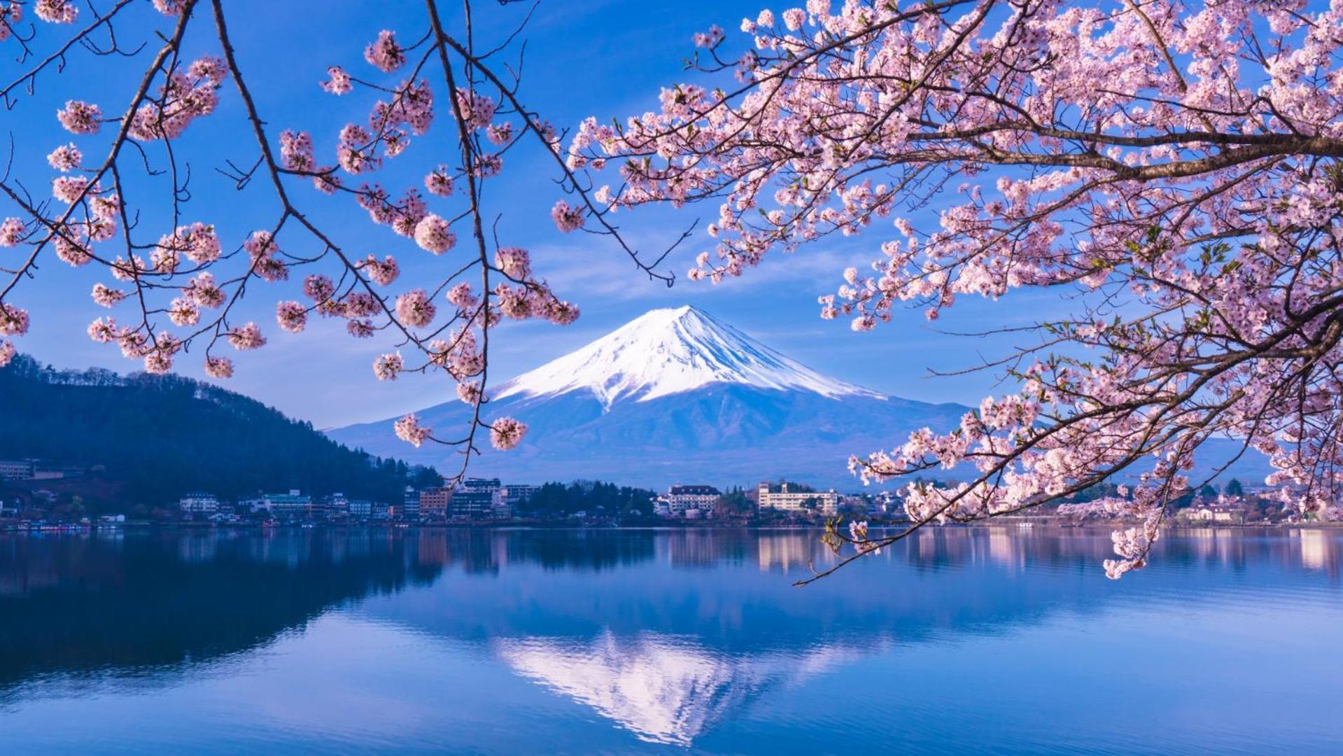Moonlightvilla 河口湖大橋 Fujikawaguchiko Zewnętrze zdjęcie